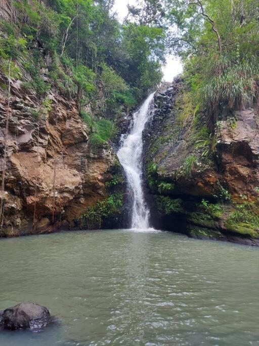 Vila Le Pitaya Baillif Exteriér fotografie